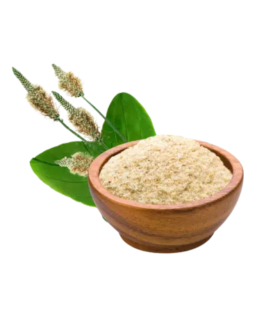 Psyllium husk (Isabgol)